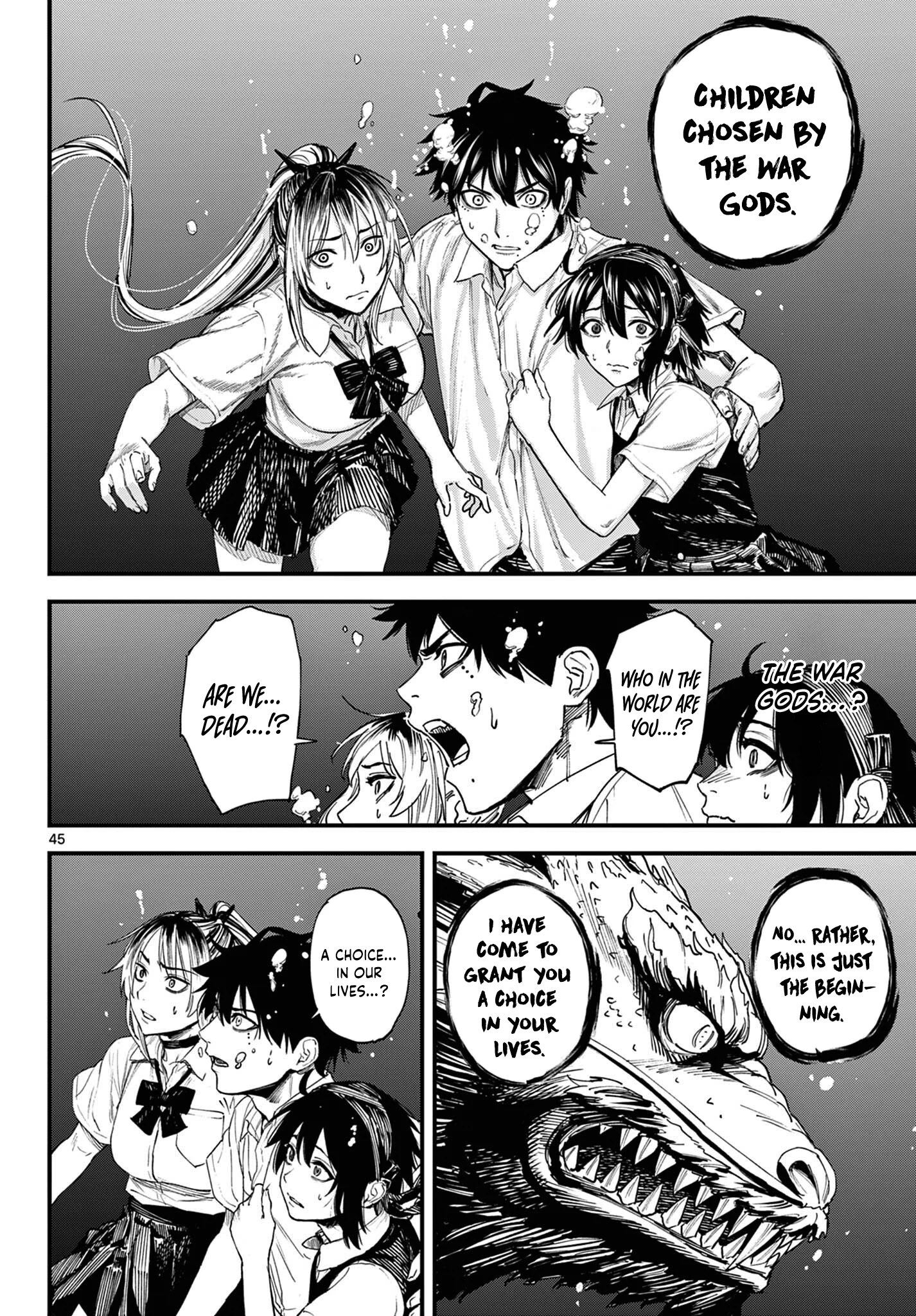 Page 43